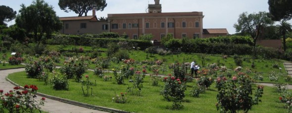 Il Roseto Comunale e l'Aventino